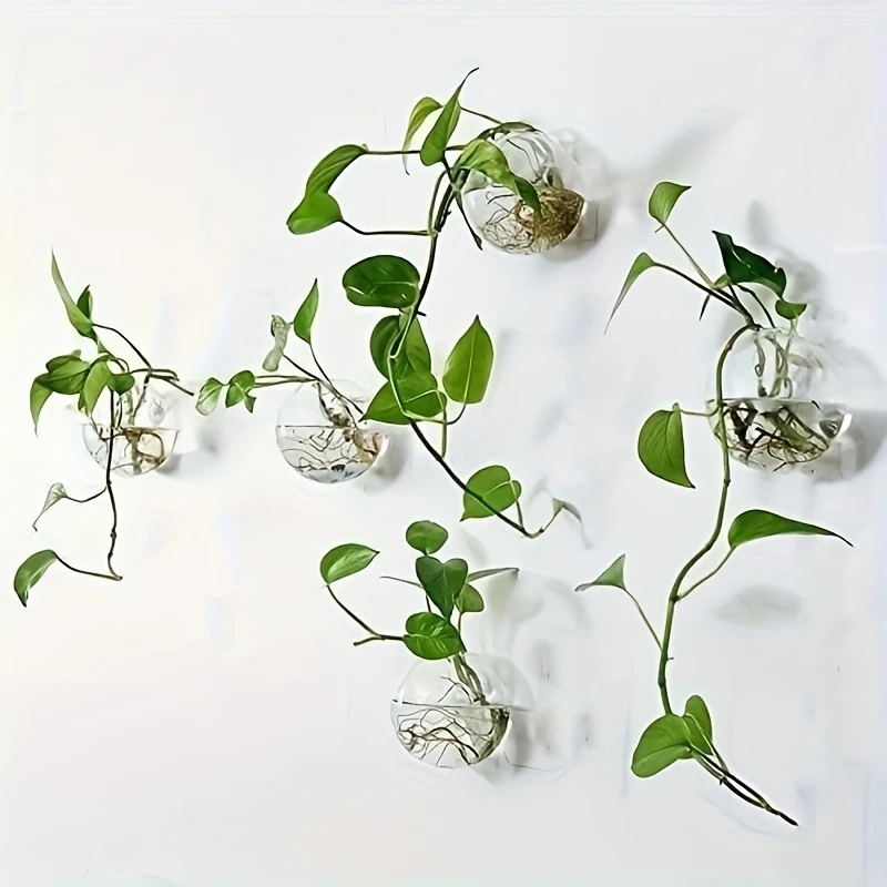 Self-Watering Planter - Paquete de 2/4/6 Terrarios de Cristal