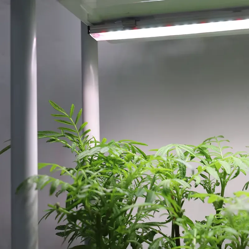 Jardinera Inteligente Vertical - Self-Watering Planter reseña y precio