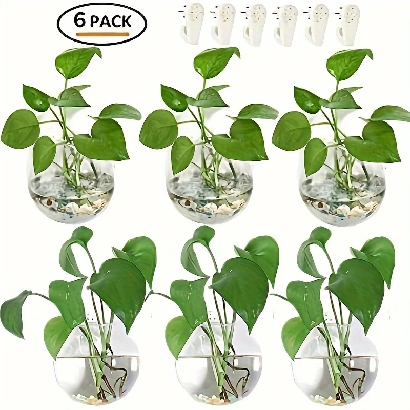 Paquete de 2/4/6 Terrarios de  - Self-Watering Planter reseña y precio