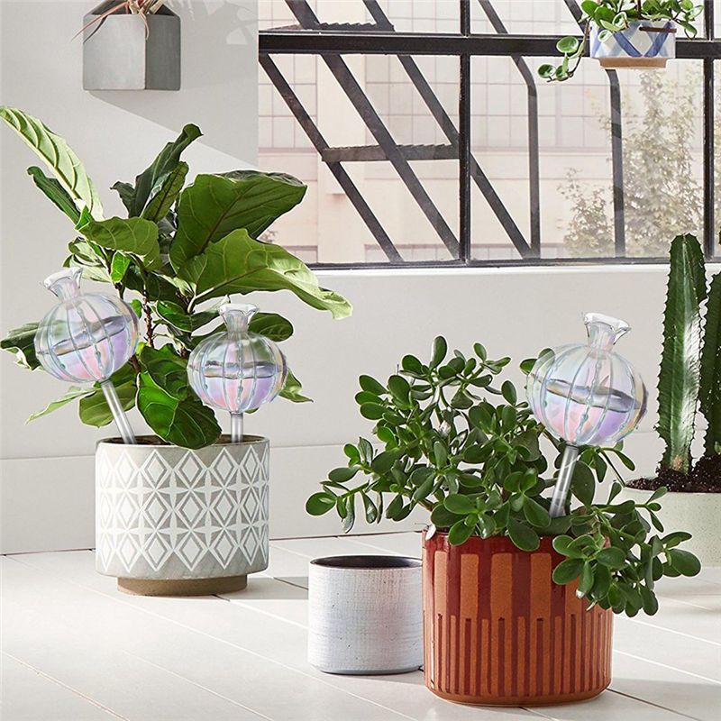 AA94 - Bombillas de riego para - Self-Watering Planter reseña y precio